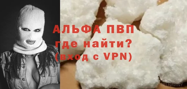 молекула духа Богородицк