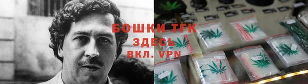 молекула духа Богородицк
