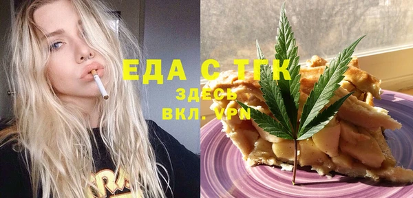 молекула духа Богородицк