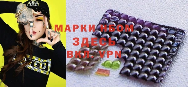 молекула духа Богородицк