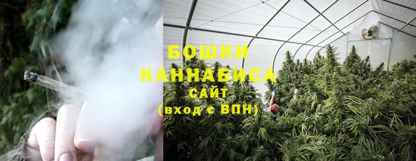 молекула духа Богородицк