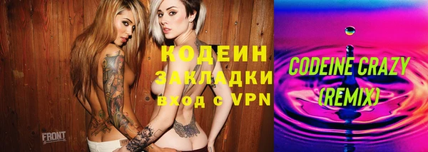 молекула духа Богородицк